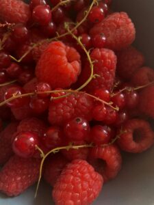 קציצות עוף ברוטב חמוציות ותפוזים