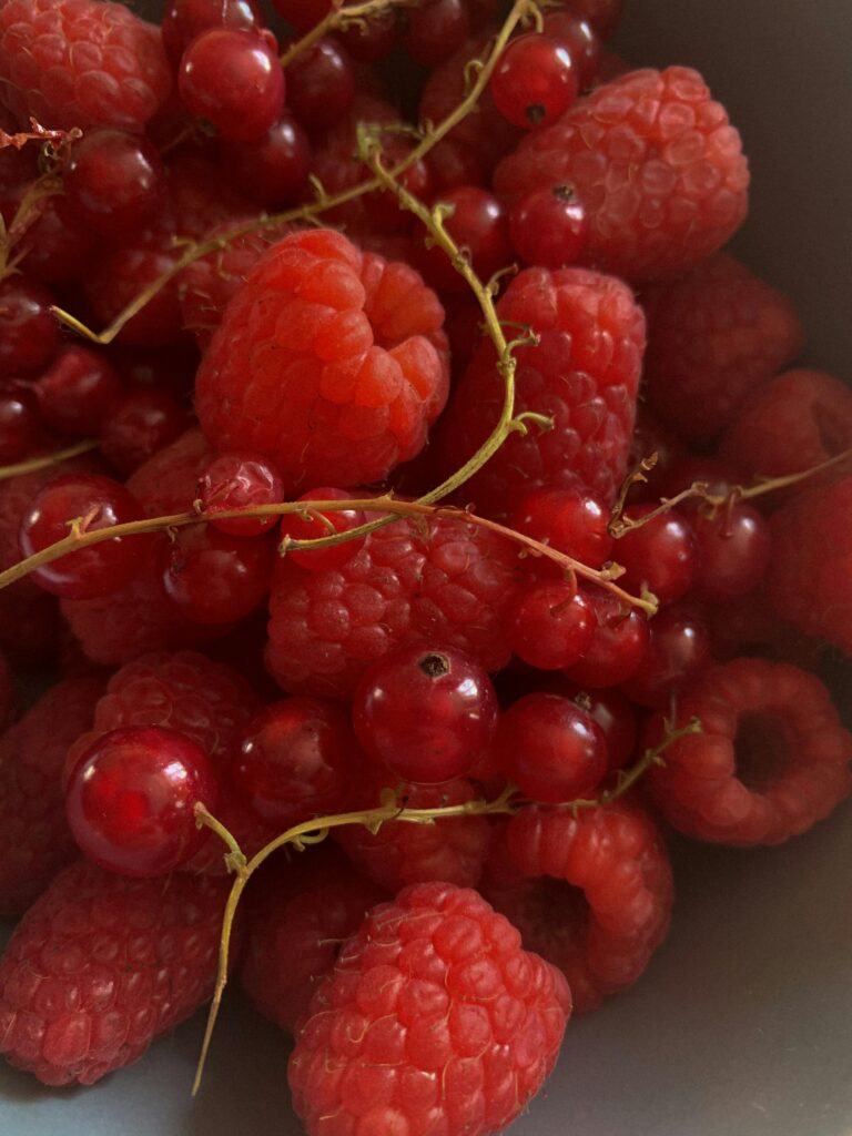 קציצות עוף ברוטב חמוציות ותפוזים