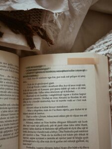 כתף בקר עם גרגרי חומוס וצימוקים